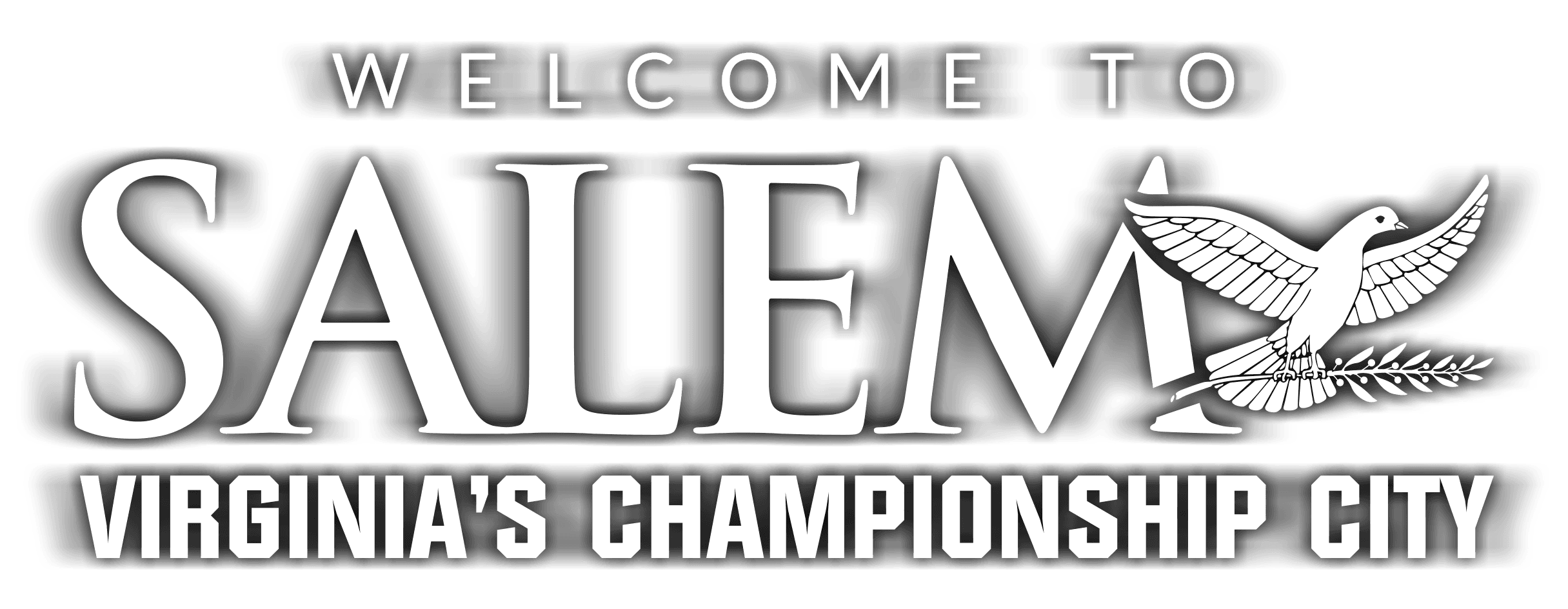 Welcome to Salem, Virginia's Championship City